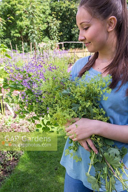Young girl carrying bundle of cut flowers. Euphorbia, Alchemilla mollis and Thalictrum