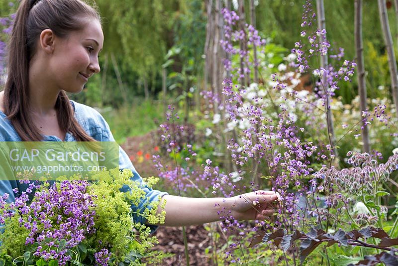 Young girl picking Thalictrum to add to her bundle of cut flowers with Euphorbia and Alchemilla mollis