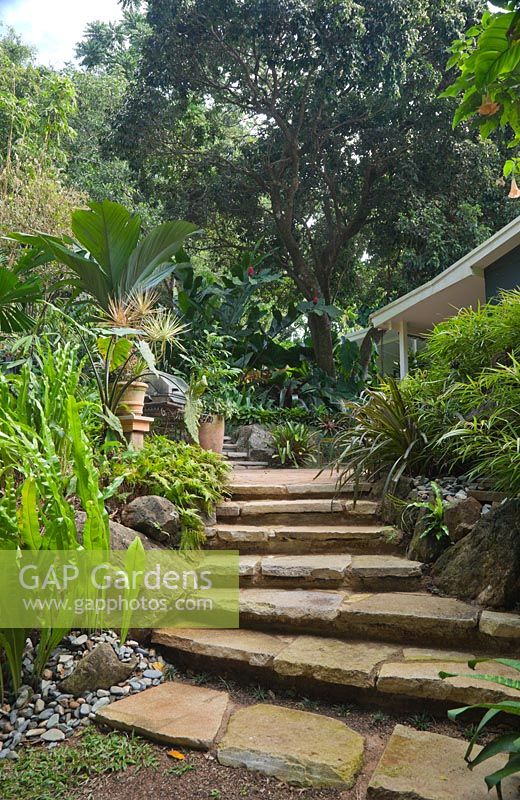 Flagged steps through a swathe of bromeliads lead up to a higher level in a tropical garden.
