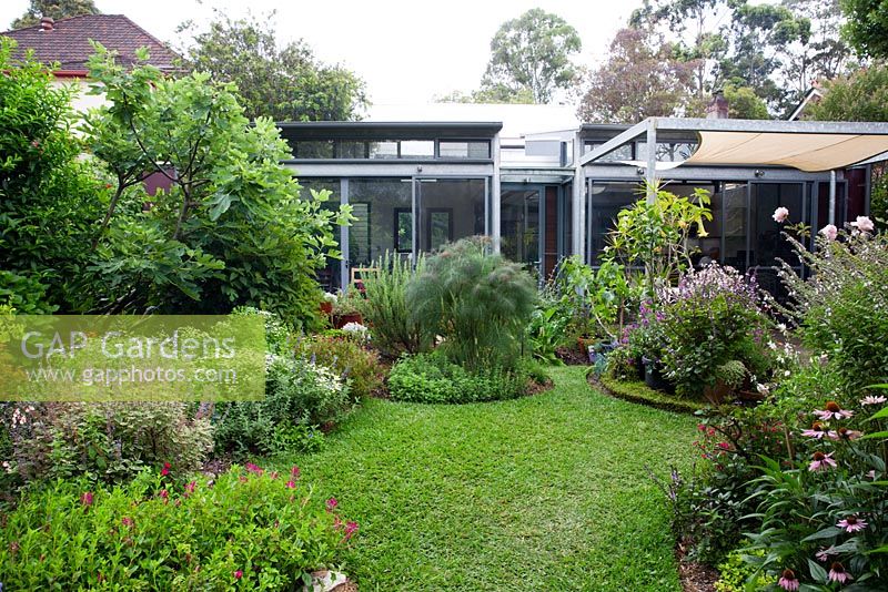 View looking from the back of garden towards rear of house, showing curved garden beds, a soft leaf buffalo lawn and a variety of flowering and colourful herbaceous plants.