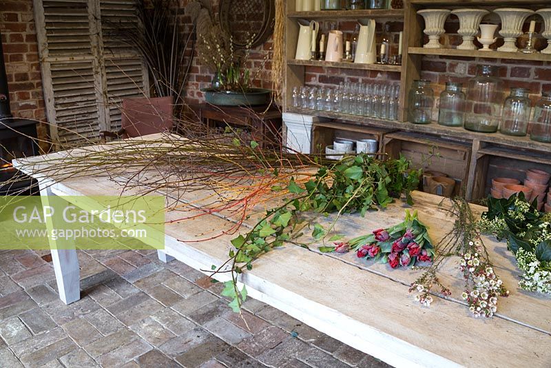 Materials and flowers required for constructing Valentine's wreath. Featuring Hedera helix, Willow stems, Birch twigs, Cornus sanguinea 'Midwinter Fire', Tulip 'Rococo', Viburnum tinus and Chamelaucium