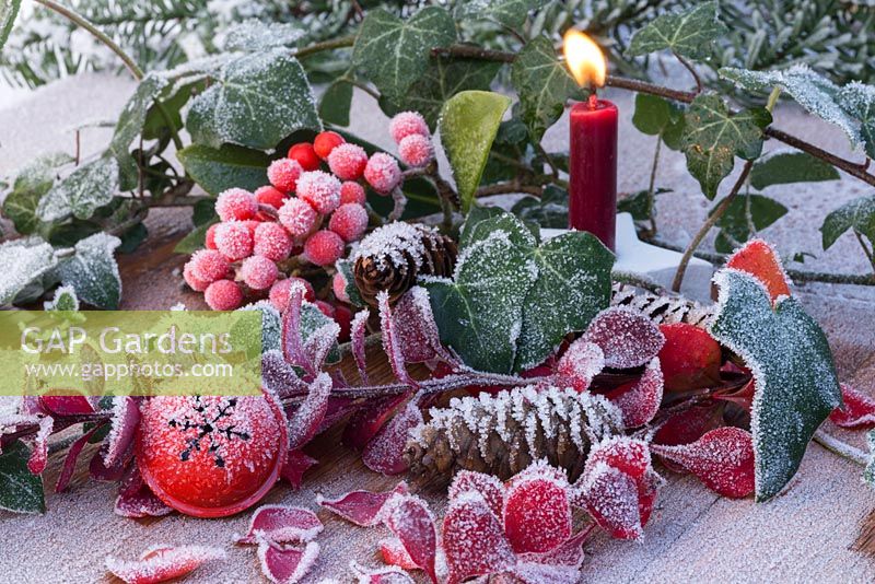 Lit red candle with frosted red bell bauble, Pine cones, Ivy foliage and Skimmia berries