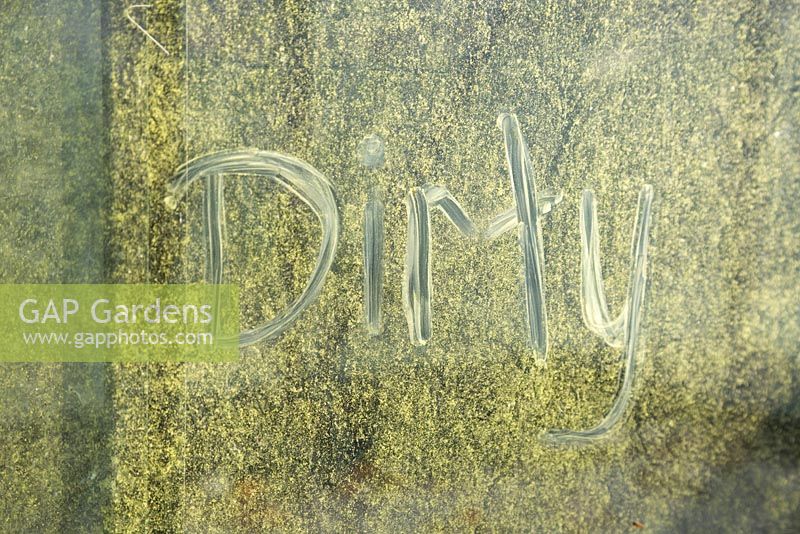 'Dirty' written on a dirty greenhouse glass pane