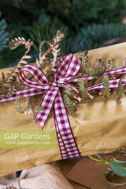 A wrapped present with checkered ribbon and gold spray painted foliage of a Fern