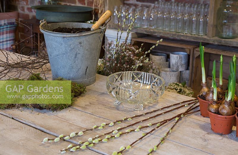 Ingredients needed to create a decorative glass bowl with Narcissus 'Erlicheer', Moss, Birch twigs and Salix caprea