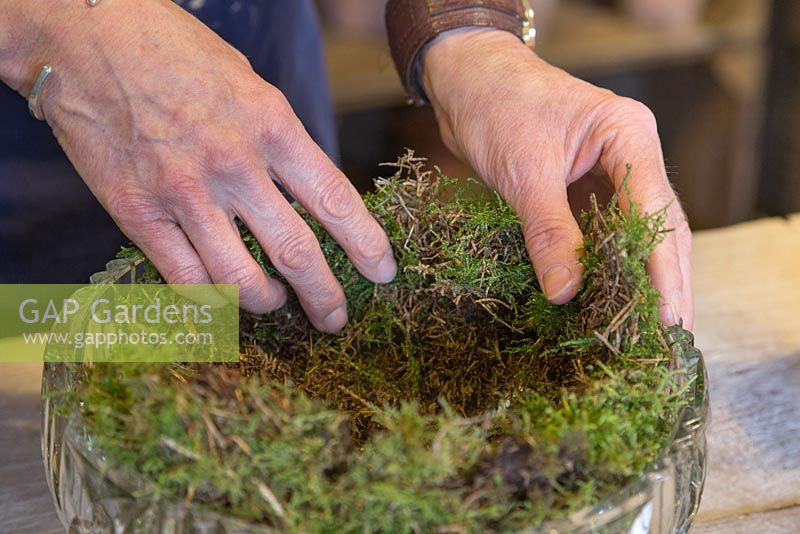 Lining the glass bowl with moss