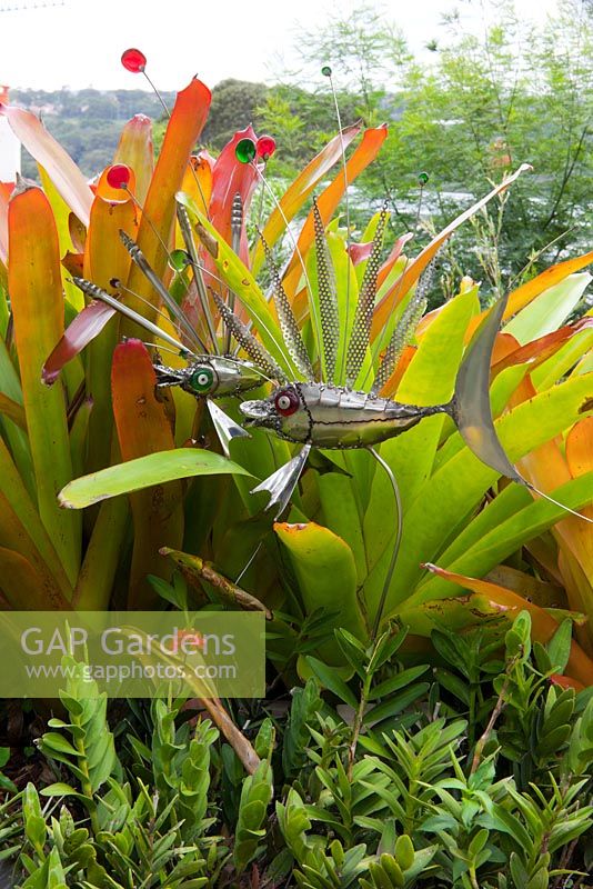 Fish sculptures by artist Ulric Steiner appear to swim amongst the golden foliage of bromeliad Aechmea blanchetiana. 