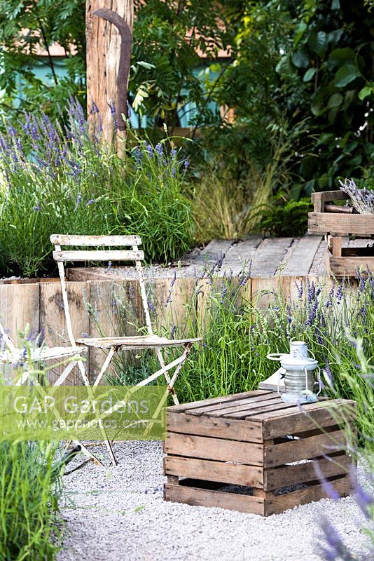 Rustic style sitting area with chairs and crate as a table surrounded by Lavender garden. The Lavender Garden, Designers: Paula Napper, Sara Warren, Donna King. Sponsor: Shropshire Lavender. Sponsor: Shropshire Lavender. RHS Hampton Court Flower Show 2016 