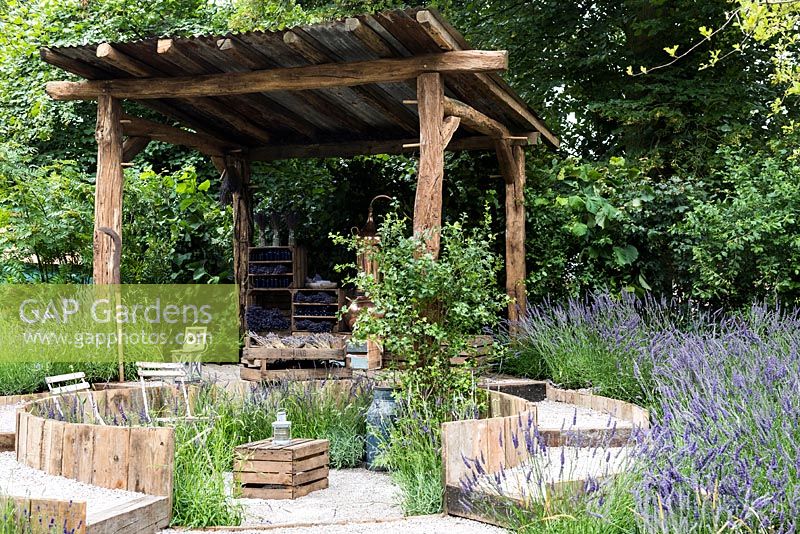 Rustic style sitting area with chairs, table and  wooden storage surrounded by Lavender garden. The Lavender Garden, Designers: Paula Napper, Sara Warren, Donna King. Sponsor: Shropshire Lavender 