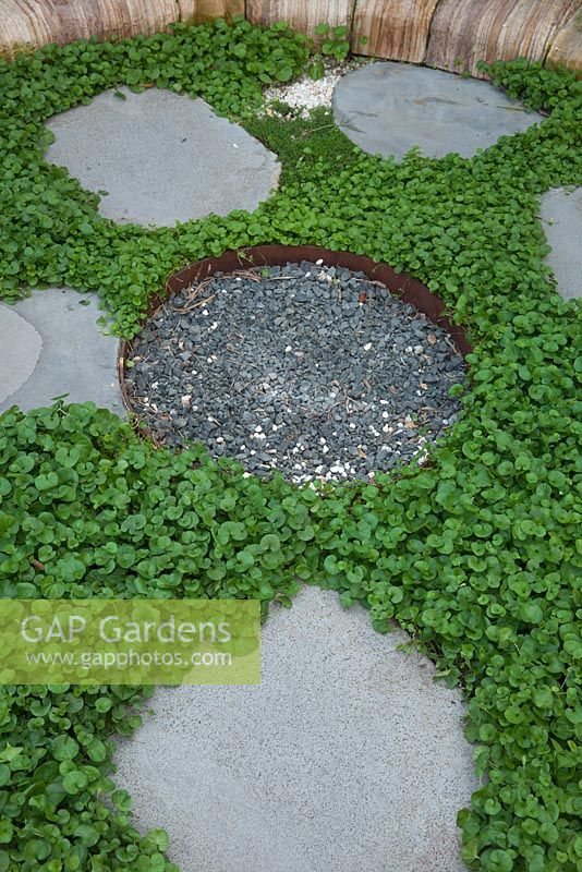 A corten steel edged firepit surrounded by round stone steps and planted with Violia hederacea - Australian native violets. 
