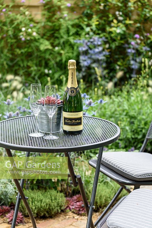 A round metal bistro table and chairs with champagne and aeonium in a metal flowerpot in the Drought Garden, RHS Hampton Court Flower Show 2016