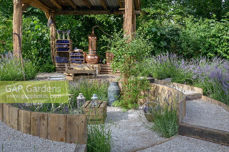 'The Lavender Garden' Hampton Court Flower Show 2016