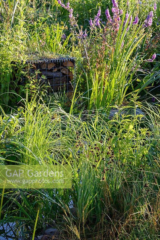 Planting and gabion in The WWT Working Wetlands Garden. Hampton Court Flower Show 2016 - Designer: Jeni Cairn, Sponsor: Wildfowl and Wetland Trust supported by the HSBC Water Programme