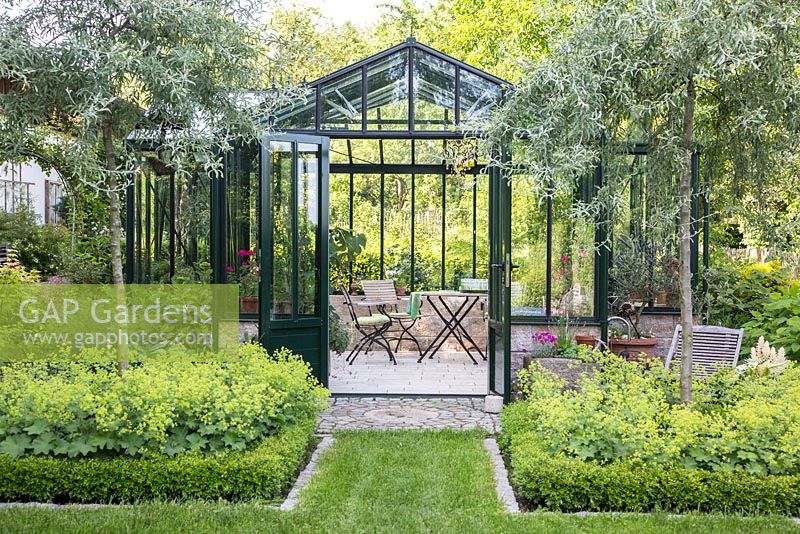 The glasshouse entrance with grass path is flanked by two willow leaved pears in box framed borders, Alchemilla mollis, Buxus, Pyrus salicifolia 'Pendula'