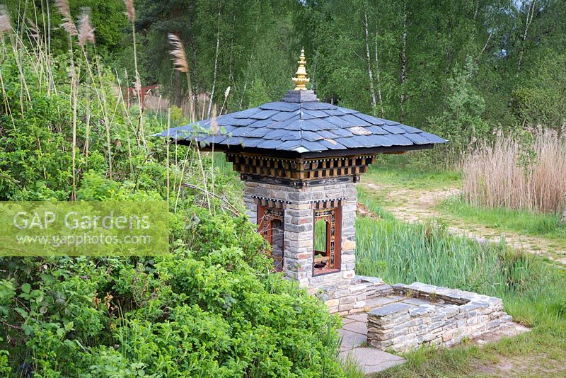 A miniature version of the Bhutan Temple. This is part of the wild area, featuring Rosa rugosa and reeds - Phragmites australis, with a grove of silver birch - Betula pendula behind.