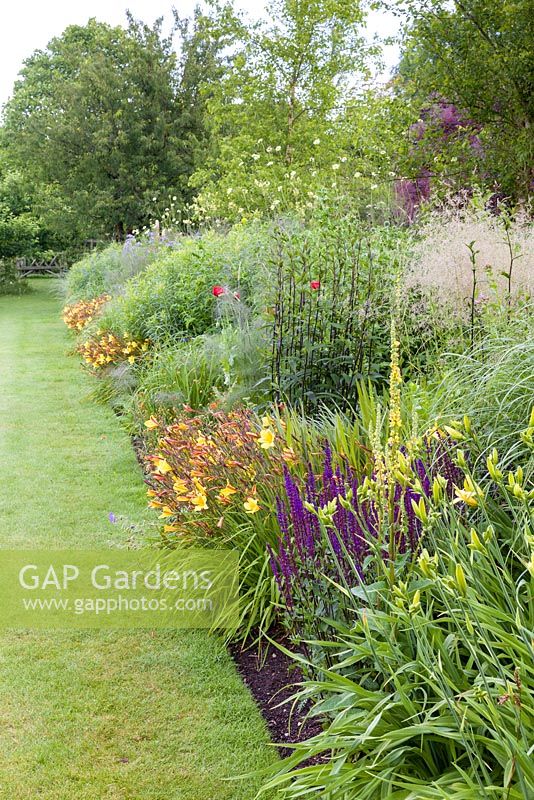 A long herbaceous border featuring plants such as Hemerocallis 'Corky', Foeniculum vulgare 'Purpureum', Salvia nemorosa and Campanula lactifolia at Bluebell Cottage Gardens, Cheshire