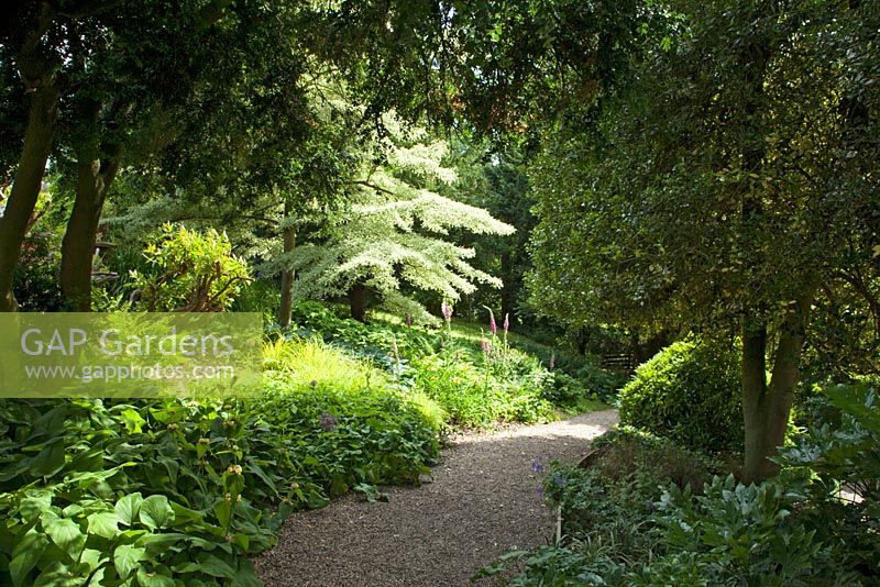 A pathway through the terraced gardens at Bolham Manor, Nottinghamshire in June