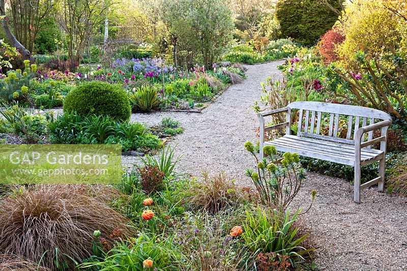 Gravel path and spring borders