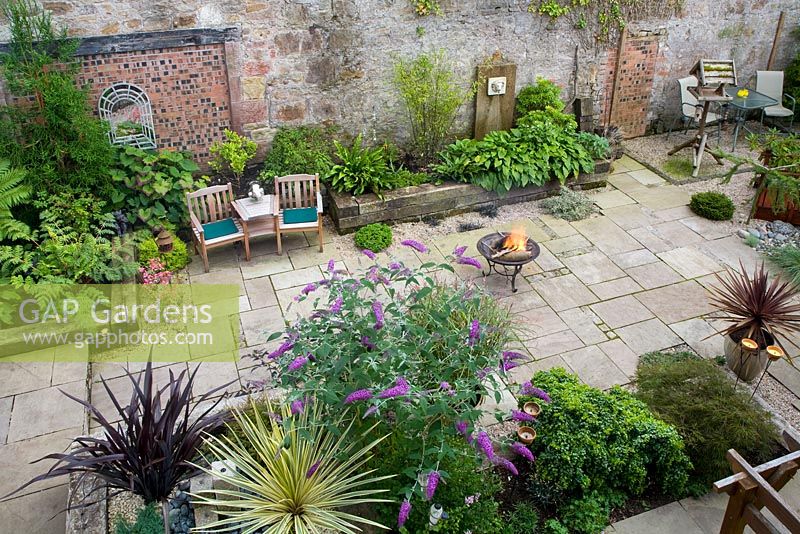 Elevated view of courtyard garden featuring buddleja, cordylines, hostas and ferns