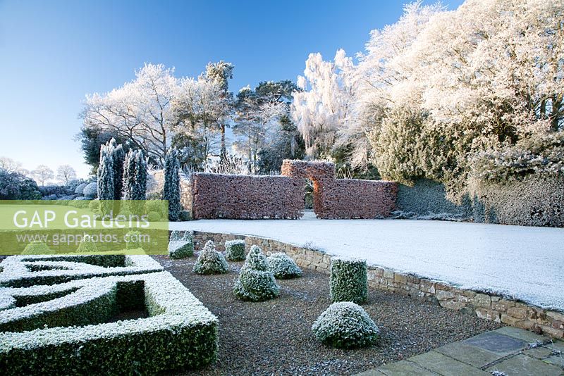 View from box parterre across lawn to frosted border, trees and beech hedge