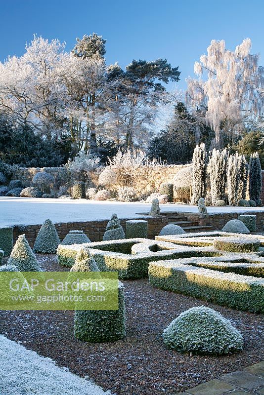 Vew from parterre  across lawn to frosted border, cluster of yews and deciduous trees