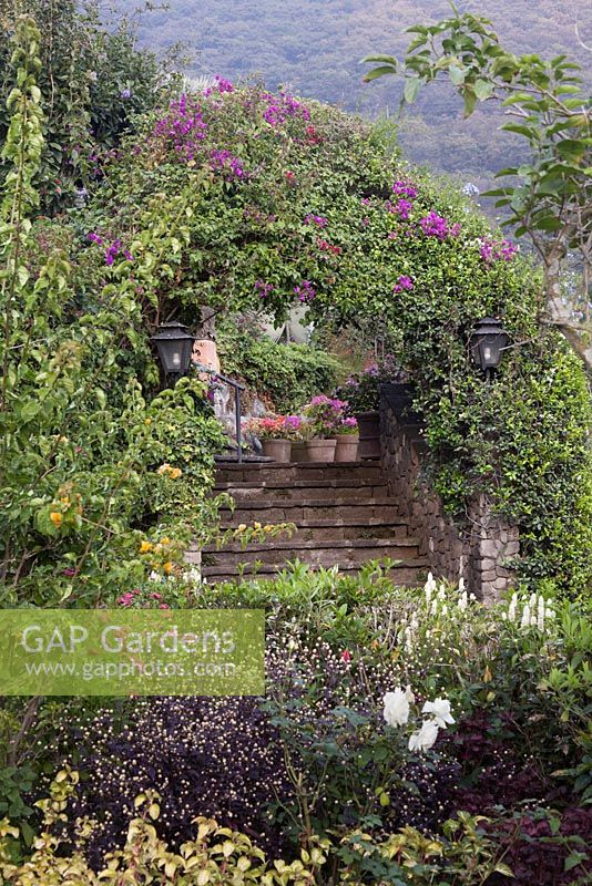 Archway with Bougainvillea over stone steps with walls - Lake Atitlan Hotel, Guatemala