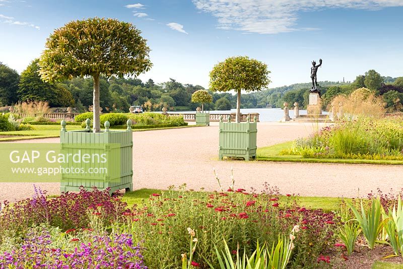 The Italian Garden at Trentham Gardens, Staffordshire - designed by Tom Stuart-Smith. The statue of Perseus and Medusa is in the background next to the lake created by Capability Brown. Planting includes Portuguese Laurels in planters, Penstemons, Knautia macedonica, Achillea and Stipa gigantea