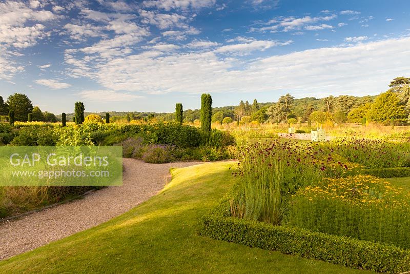 The Italian Garden at Trentham Gardens, Staffordshire - designed by Tom Stuart-Smith. Planting includes clipped box hedges, Knautia macedonica and fastigate Irish yews