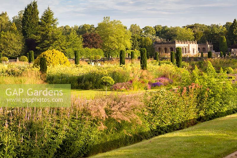 A view across the Italian Garden at Trentham Gardens, Staffordshire - designed by Tom Stuart-Smith. Pictured just after dawn in summer, planting includes Veronicastrum, clipped Portuguese laurels, fastigate Irish yews, Geraniums and Salvias