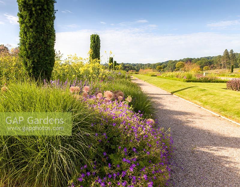 Part of a vibrant herbaceous border in the Italian Garden at Trentham Gardens, Staffordshire - designed by Tom Stuart-Smith. Planting includes Geraniums, Nepeta and fastigate Irish yews.