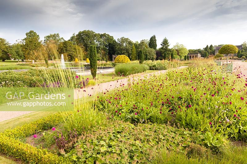 The Italian Garden at Trentham Gardens, Staffordshire - designed by Tom Stuart-Smith. Planting includes Knautia macedonica, fastigate Irish yews, Portuguese laurels in planters and Stipa gigantea