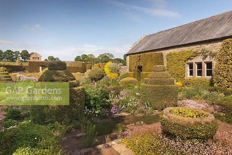 A view of The Flower Garden from the house with topiary shapes using box and yew and raised stone trough with ivy and London Pride - June, Herterton House, Hartington, Northumberland, UK 