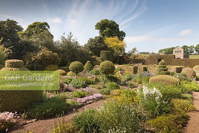 A view of The Flower Garden from the house with topiary shapes using box and yew and raised stone trough with ivy and London Pride - June, Herterton House, Hartington, Northumberland, UK 