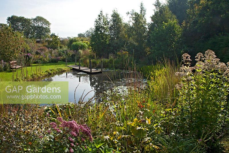 View of the jetty on the pond at Norwell Nurseries, Nottinghamshire in late September.