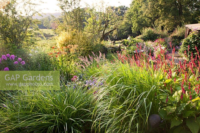 View from top terrace with Kniphofia Percys Pride, Persicaria amplexicaulis Firetail, Geranium Eureka Blue,  Phlox and Crocosmia  to countryside beyond