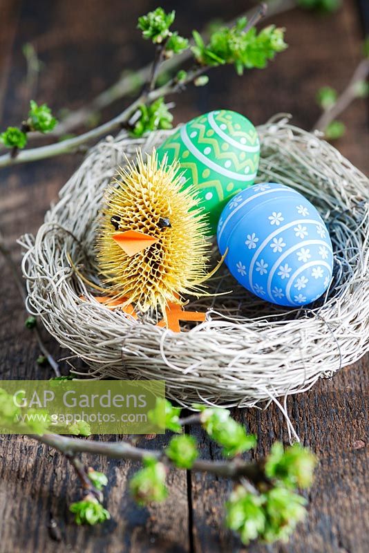 Easter chick made from teasel and cloves, decorative eggs and nest