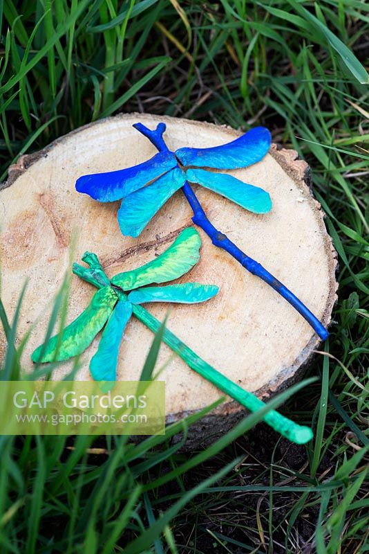 Seeds of sycamore and twigs used to make helicopter dragonflies