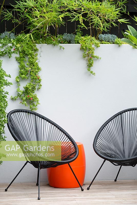 A timber deck with a black Acapulco chairs, an orange plastic drum table in front of a grey painted cement rendered retaining wall wiith succulents spilling over the wall and a screen of Slender weavers bamboo.