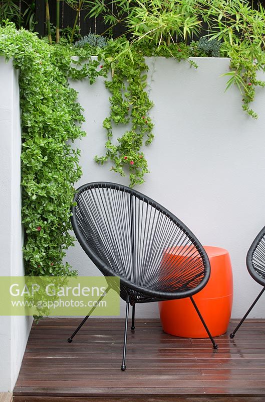 A timber deck with a black Acapulco chairs, an orange plastic drum table in front of a grey painted cement rendered retaining wall wiith succulents spilling over the wall and a screen of Slender weavers bamboo.
