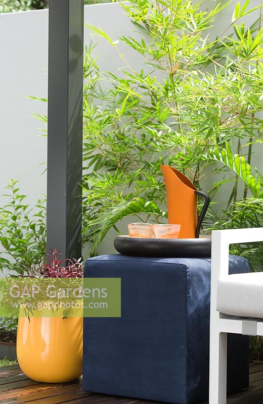Detail of a white outdoor lounge with a blue cube table with an orange metal pitcher, orange patterned drinking glasses an yellow plastic pot planted with an Alternanthera ficoidea with burgundy red foliage in front of a courtyard wall with a Bambusa textilis 'Gracilis'.