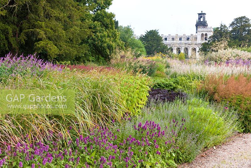 A path through the  Floral Labyrinth at Trentham Gardens, Staffordshire, designed by Piet Oudolf. Beyond are the ruins of Trentham Hall. Photographed in summer, planting includes Agastaches and Veronicastrums