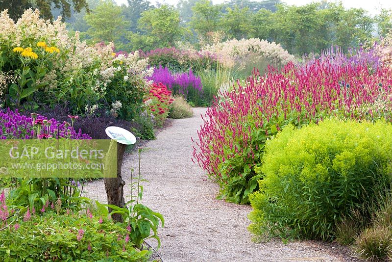 A path through the Floral Labyrinth at Trentham Gardens, Staffordshire, designed by Piet Oudolf. Photographed in summer planting includes Solidago, Monarda, Lythrum, Stipa gigantea Agastaches and Astilbes