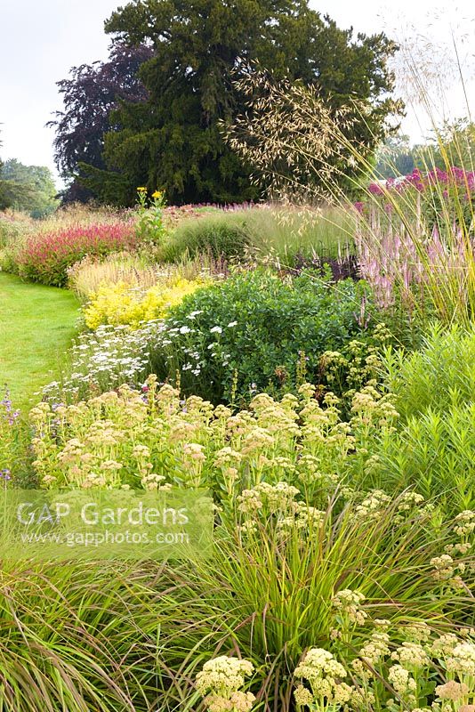 The Floral Labyrinth at Trentham Gardens, Staffordshire, designed by Piet Oudolf. Photographed in summer planting includes Sedum, Veronicastrum, Solidago, Persicaria and Stipa giganea