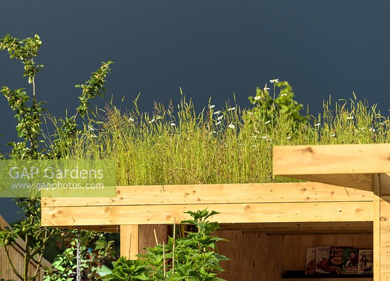 Green Roof in Health for Life Community Garden.Best In Show: GOLD. BBC Gardeners World Live 2016 . Designer: Owen Morgan. RHS Flower Show Birmingham