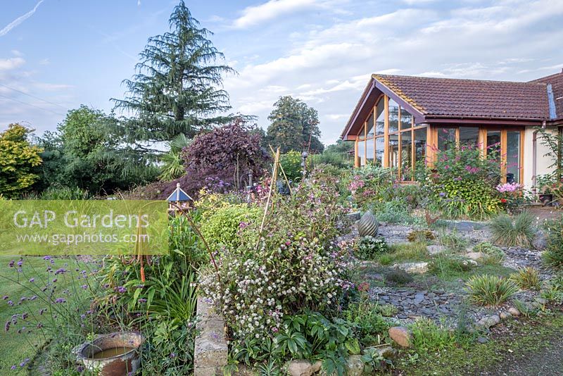 Little Ash Garden, Fenny Bridge, Devon. Autumn garden. Large gravel garden in front of modern bungalow extention