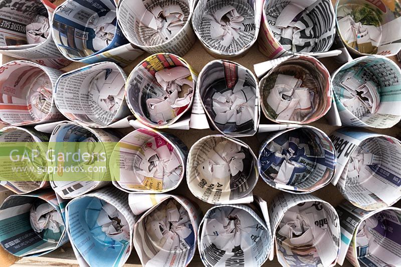 View of home made newspaper pots.