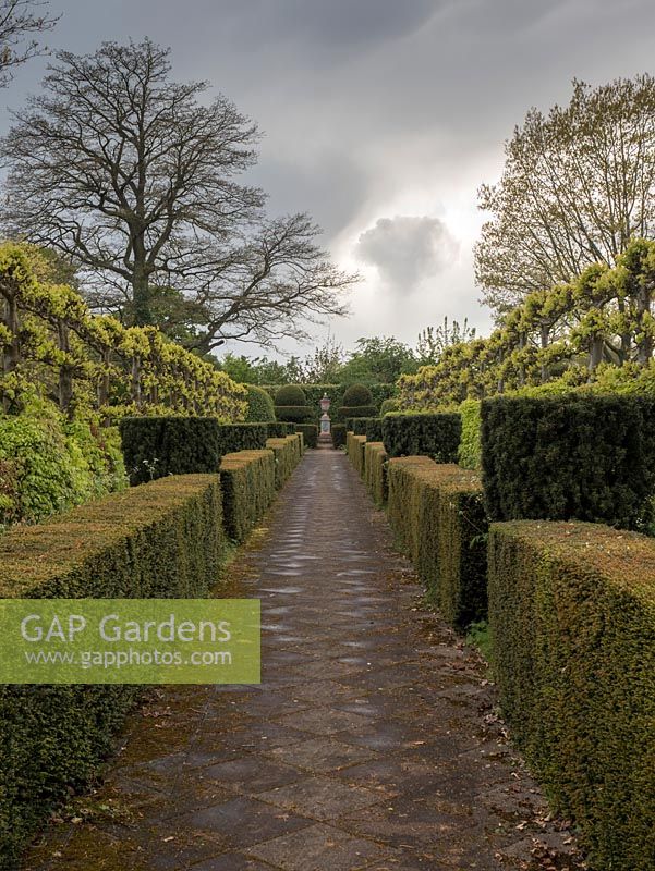 The Laskett Gardens - The Elizabeth Tudor walk with Taxus Baccata hedging and topiary complimented with Pleached Lime trees leading the eye to Shakespeare monument