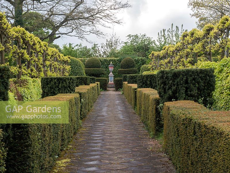 The Laskett Gardens- The Elizabeth Tudor walk with Taxus Baccata hedging and topiary complimented with Pleached Lime trees leading the eye to Shakespeare monument