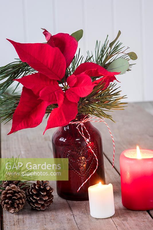 Poinsettia arranged in red glass vase with pine foliage and candles