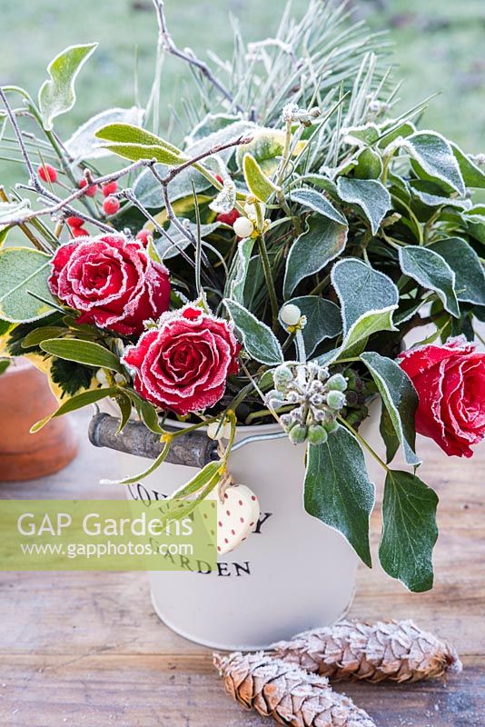 Frosty red roses, ivy and mistletoe arranged in rustic bucket